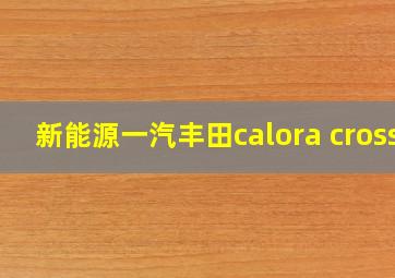 新能源一汽丰田calora cross